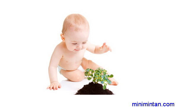Çocuklarınızı hastalıktan koruyan bitkiler ve çaylar